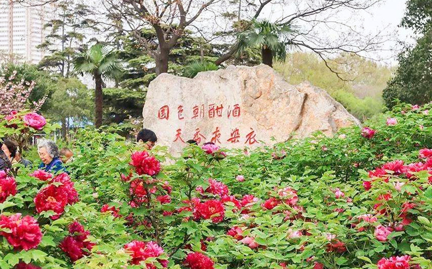 &#20048;&#40060;&#32593;&#39029;&#29256;&#22312;&#32447;&#30331;&#24405;&#45;&#108;&#101;&#121;&#117;&#40;&#20013;&#22269;&#41;